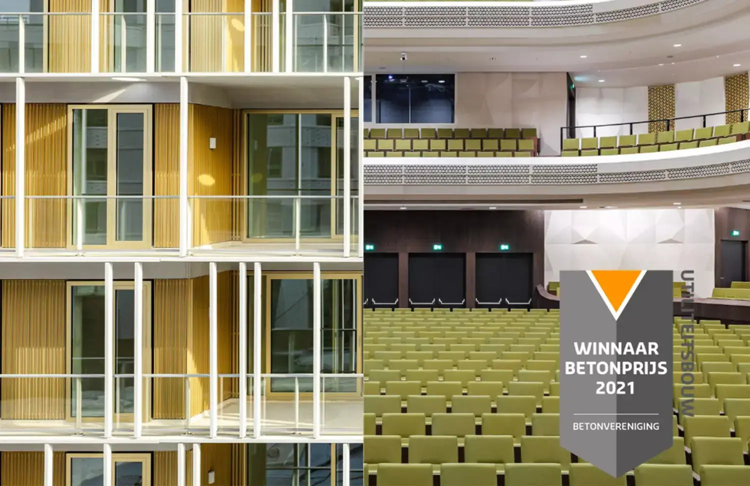 The Line X Koncertsal Amare